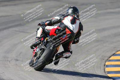 media/Feb-04-2024-SoCal Trackdays (Sun) [[91d6515b1d]]/4-Bowl Backside (11am)/